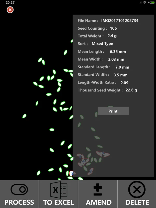 Seed Analysis