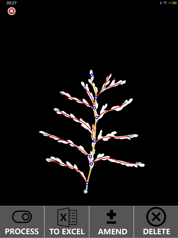 Panicle Analysis